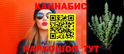 каннабис Малгобек