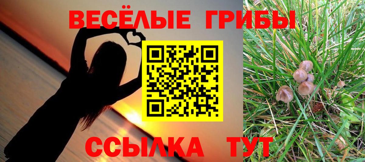 Галлюциногенные грибы Psilocybine cubensis  Вход с VPN  Туапсе 
